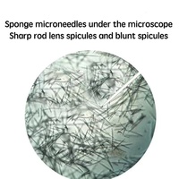 Sérum visage non invasif à base de plantes efficace avec éponge aux algues Microneedles pour le traitement de l'acné et l'élimination des cicatrices Masque crème chaude