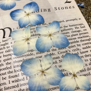 Marque-page en fleurs séchées pressées avec des marguerites, des hortensias et des fleurs sauvages, cadeau d'anniversaire pour homme et femme - Product Image 3