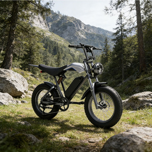 Vélo électrique deux places RX-T2, pneus larges 20 pouces, Fatbike Cargo, design hybride, vélo électrique tout-terrain, stock USA - Product Image 5