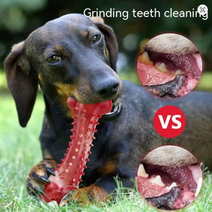 Os à mâcher <span class=keywords><strong>pour</strong></span> chiens écologiques de luxe <span class=keywords><strong>pour</strong></span> les chiens agressifs, en caoutchouc durable, saveur bœuf, presque indestructibles, jouets résistants <span class=keywords><strong>pour</strong></span> chiens - Product Image 3
