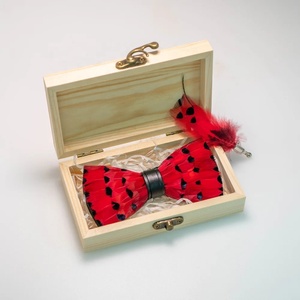 Décoration naturelle pour la maison mariage plumes noeuds <span class=keywords><strong>papillon</strong></span> cadeau boîte de rangement artisanat à la main boîte à bijoux avec couvercle de verrouillage en métal doré - Product Image 4