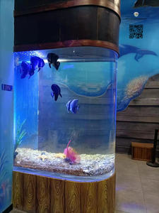 Aangepaste Grote Ultra Helder Glas <span class=keywords><strong>Aquarium</strong></span> <span class=keywords><strong>Aquarium</strong></span> <span class=keywords><strong>Aquarium</strong></span> <span class=keywords><strong>Aquarium</strong></span> Tank Vis 500 Gallon Groot <span class=keywords><strong>Aquarium</strong></span> Glas - Product Image 6