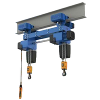 Espacement de crochet personnalisé 220V-460V M5 palan à chaîne électrique avec deux crochets pour levage simultané