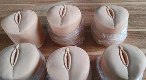 Mô hình đào tạo y tế sử dụng mô hình chăm sóc cổ tử cung và đường sinh cho mục đích giảng dạy phụ khoa và sản khoa - Product Image 4