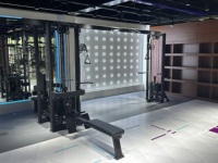 Equipo de Gimnasio Comercial Profesional, Estación de Fitness Multifuncional de 5 Puestos, Acero Inoxidable, para Ejercicios de Pecho, Tríceps y Piernas