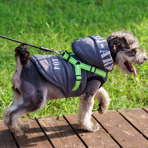 Moda Luxo Designer <span class=keywords><strong>Dog</strong></span> Clothing - Thick Down Jacket Adequado para cães de pequeno e médio porte para a temporada de inverno - Product Image 1