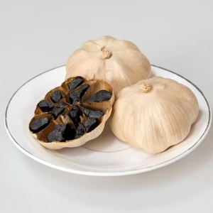 <span class=keywords><strong>Ail</strong></span> <span class=keywords><strong>noir</strong></span> en gros directement du fabricant, 100% sans additifs, qualité standardisée, aliment sain - Product Image 1