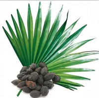 Extrait de fruit de palmier nain sauvage cultivé, huile végétale en poudre, conditionné sous vide en fût, prix de gros, fourni par l'usine Ciyuan