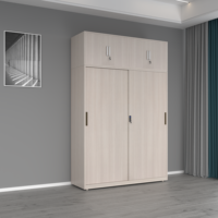 Armoire Métallique Minimaliste à 2 Portes, Grande Capacité, Rangement de Vêtements, Penderie pour Meuble de Maison Salon Chambre