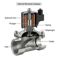 Vanne solénoïde d'arrêt industrielle en acier inoxydable 304 NC 24V 220V, interrupteur électronique pour pipeline