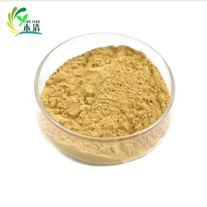 Estratto di <span class=keywords><strong>Ginseng</strong></span> Rosso Naturale in Polvere di Alta Qualità, Vendita Diretta dalla Fabbrica, 10%-80% Ginsenosidi in Confezione a Fusto - Product Image 3