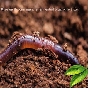 بيع بالجملة فيرميكومبوست الأسمدة العضوية المخمرة دودة الأرض-وجبة العظام مع البكتيريا الحية للزراعة العضوية - Product Image 5