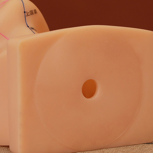 Ohrmodell für den Unterricht und Lernen in Akupunktur und Massage - Traditionelle Chinesische Medizin - Product Image 5