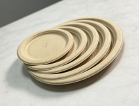 Assiettes jetables en fibre de coque de riz compostables, biodégradables, certifiées BPI, sans BPA, sans PFAS, écologiques, de 6, 7, 8, 9 et 10 pouces