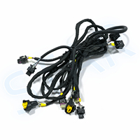 Connecteur automobile personnalisé 24 voies s/Aptive 211PC249S0033, faisceau de câbles électriques, assemblage de câbles pour boîte de chargement