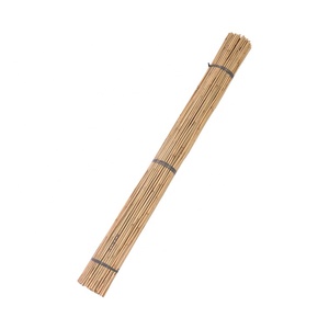 Caña <span class=keywords><strong>de</strong></span> <span class=keywords><strong>bambú</strong></span> para soporte <span class=keywords><strong>de</strong></span> plantas, 150cm, diámetro 12-14mm - Product Image 3