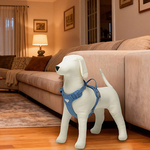 <span class=keywords><strong>Mannequin</strong></span> de présentation pour vêtements pour animaux de compagnie, modèle grand format, corps souple de qualité supérieure, pour l'affichage et le studio de vêtements pour Berger allemand, Bully, Teckel - Product Image 5