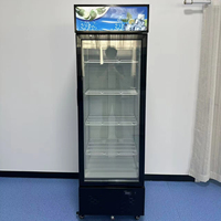 Réfrigérateur commercial 450L à porte vitrée simple, refroidissement par ventilateur, pour boissons, refroidisseur vertical pour magasin de proximité