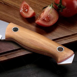 มีดล่าสัตว์อเนกประสงค์แบบใบมีดคงที่ ดีไซน์ใหม่ รองรับ OEM ปรับแต่งได้ ผลิตจากเหล็ก 3CR13MOV ด้ามไม้มะกอก เหมาะสำหรับ EDC ใช้ในงาน DIY - Product Image 2