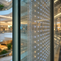 Écran LED transparent de qualité professionnelle pour mur-rideau en verre de grand centre commercial
