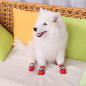 वाटरप्रूफ एंटी-स्लिप सॉफ्ट सिलिकॉन पालतू जूते 8 रंग कई आकार प्यारे सैन्य शैली क्रिसमस कुत्तों और बिल्लियों के लिए - Product Image 2