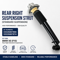Conjunto de Amortiguador Resistente, Pieza de Suspensión para BMW X5 F15, Trasero Derecho, OE 33526867866 33526867874
