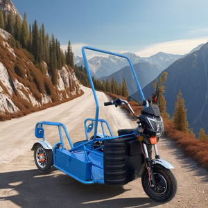 Tricycle Électrique 650W à Châssis Ouvert, Confortable, Certifié CE 60V, pour <span class=keywords><strong>Adultes</strong></span>, Vélo à <span class=keywords><strong>Trois</strong></span> <span class=keywords><strong>Roues</strong></span> Sans Barrière - Product Image 6