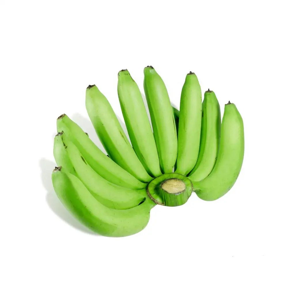 Beste Kwaliteit Cavendish Banaan Verse Bananen Verse Groene Banaan Voor Export Tropische Fruit Organische 100%