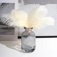 Vente en gros de 15 à 20cm plumes d'autruche duveteuses teintes motif brut pour mariage carnaval vase fête événement décoration