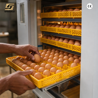 Incubateur d'œufs pour l'éclosion des œufs de poulet, machine d'écloserie avicole, équipement d'incubation pour l'élevage de poulets en petite ferme