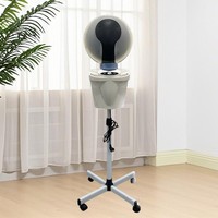 Sèche-cheveux à micro-brume à succès avec système d'ozone pour traitement capillaire vapeur, idéal pour salon et usage domestique
