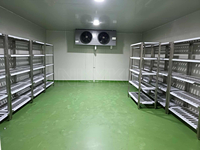 Chambre froide industrielle pour le stockage de jus et de sirop, température 0-5°C ℃   Chambre à basse température CE ISO Walk-in