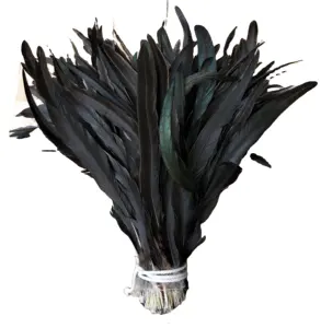Teñido de negro pluma de gallo o pluma teñido de coque negro plumas de la cola para disfraces de Carnaval