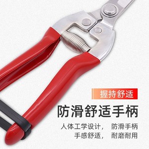 Nice <b>Pruning</b> Shears Stainless Steel Straight Head Garden <b>Tool</b> For Fruit <b>Tree</b> Trimming - Product Image 3