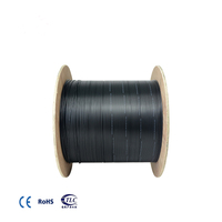 Câble à Fiber optique Offre Spéciale extérieur FTTH Gigabit blindé papillon chute aérienne plat FRP G652D G657A1 G657A2 1/2/4/6/8/12 Fo Core
