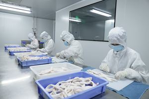 ביו-אקטיב bovine atelocollagen אבקת mml מוסמך על ידי iso 22442 - Product Image 6