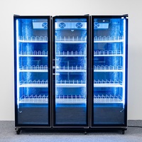 Promotion : Refroidisseur de bouteilles de vin, Vitrine réfrigérée pour bières avec ventilateur de refroidissement, Réfrigérateur pour bières, Congélateur, Réfrigérateur
