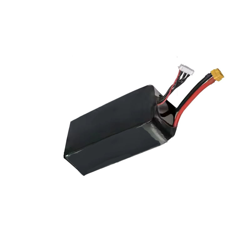 Batterie (6s 1200mAh)