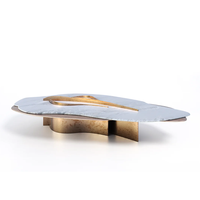 Table basse en marbre Dream Home Soft Contour, plateau irrégulier, décor en laiton courbé, table de salon haut de gamme premium
