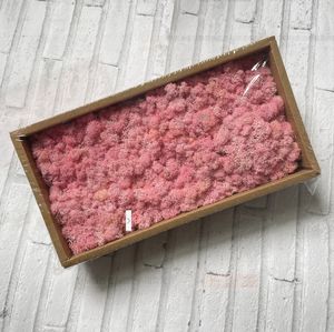 High Quality Real Preserved <strong>Moss</strong> Natural Decorative Flowers <strong>Wreaths</strong> Wooden Frame Office Decor Halloween Stabilized Reindeer <strong>Moss</strong> - Product Image 6