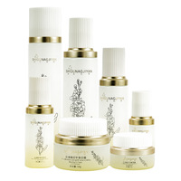 Lujo 40 100 120 ML 30 50 G Vacío Redondo Plata Cosmético Loción facial Crema Botella de vidrio Paquete de tarro con bomba de loción