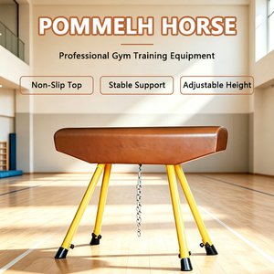 Cheval de gymnastique à pommeaux LDK Arzones à vendre - Product Image 1