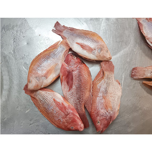 Tilapia Roja congrelada <span class=keywords><strong>rosa</strong></span> Tilapia congelato <span class=keywords><strong>pesce</strong></span> Tilapia rosso congelato - Product Image 2