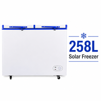 Congélateur coffre solaire 250L 12V/24V DC à compresseur, modèle BD/BC, 258 litres, système de congélation solaire pour la maison