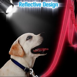 थोक टिकाऊ नायलॉन चिंतनशील प्रिंट रिबन प्रशिक्षण पालतू जानवर लीड नरम पंखा समायोज्य विरोधी पर्ची कुत्ते पट्टा - Product Image 5