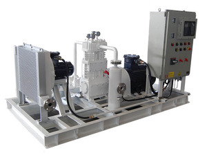 เครื่องอัดก๊าซขนาดเล็กแบบระบายความร้อนด้วยอากาศชนิดสายพานขับเคลื่อนแบบไม่ใช้น้ำมันพร้อมระบบหล่อลื่นแบบแปลงความถี่ - Product Image 5