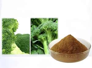 Groothandelsprijs Broccoli Zaad Extract Natuurlijke Pure Biologische Verse Broccoli Sulforafaan 1% Poeder Te Koop - Product Image 3