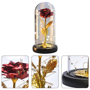 Hadiah Hari Valentine kustom kubah mawar bunga kering lampu Wanita plastik hadiah mawar dengan kotak - Product Image 4