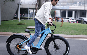 Vélo électrique <span class=keywords><strong>VTT</strong></span> en gros d'usine, 26 pouces, 350W/500W/750W, avec batterie au lithium - Product Image 6