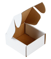 Logo gedruckt profession elle Fabrik beliebte einfache weiße braune Kraft Eco Wellpappe kleine Geschenk Mailer CD Versand box